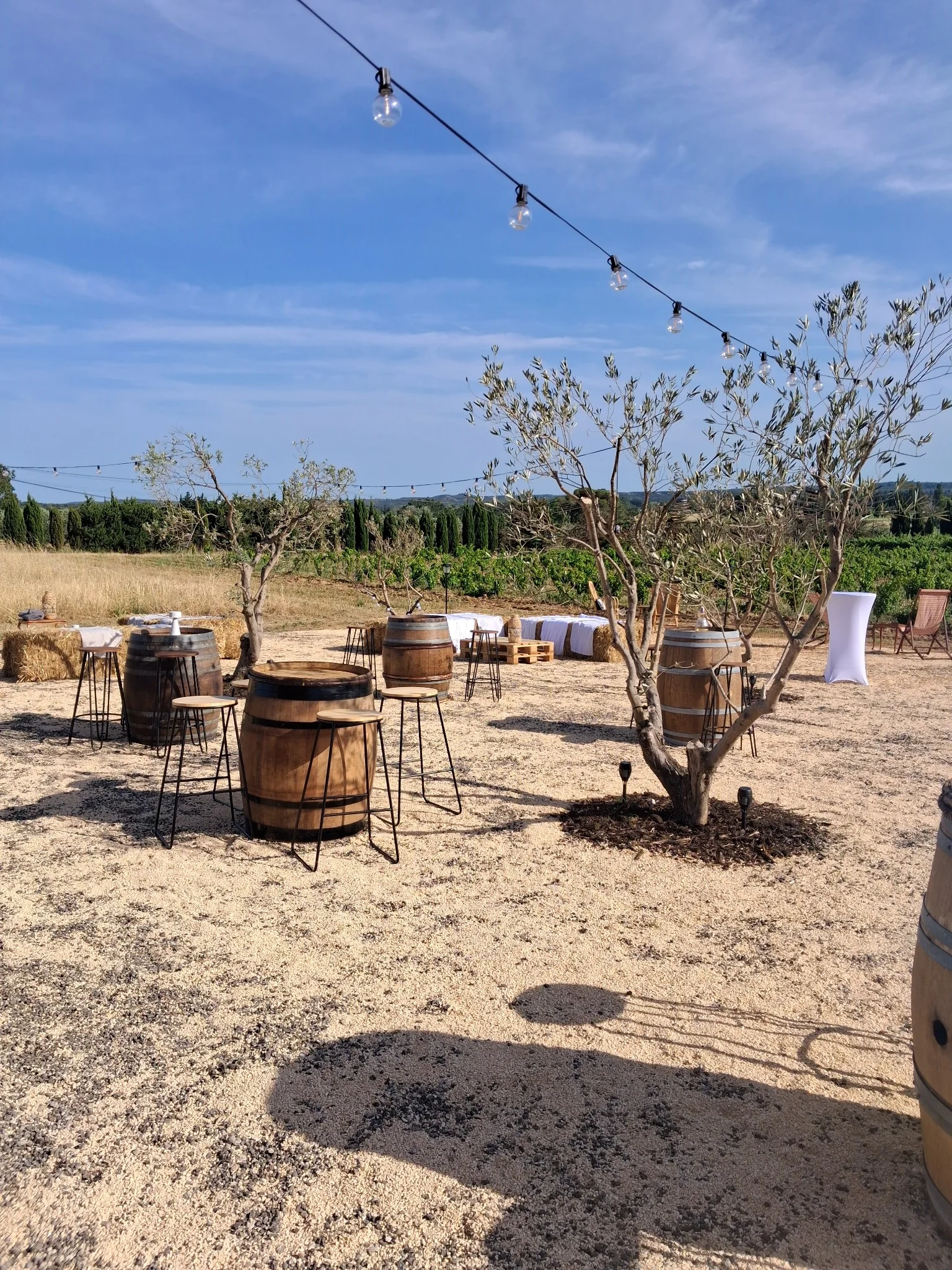 La Guinguette du Vigneron en journée, entre tonneaux, oliviers et vignes